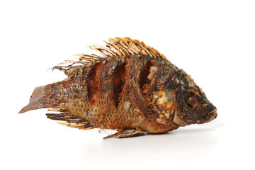 Fried Tilapia fish fried isolated on white background