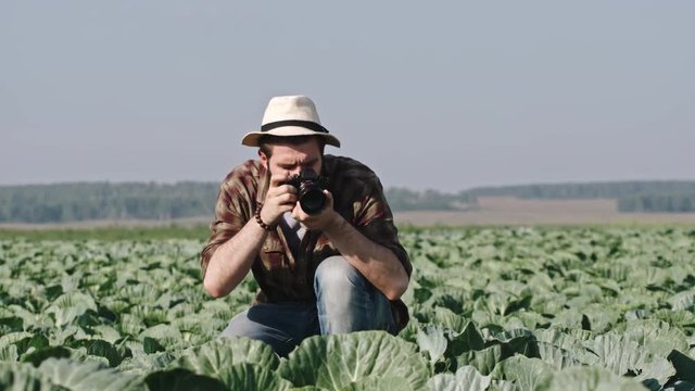 Lockdown of male farmer with beard taking pictures of cabbages on field