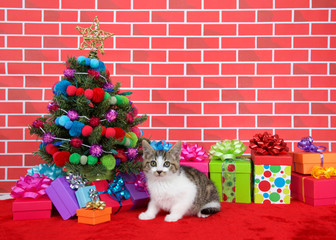 Fototapeta na wymiar black, brown and white tabby kitten looking above viewer, crouched on red fur carpet by christmas tree, decorated with yarn balls and lights, with presents around him, brick wall background