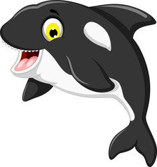 funny killer whale cartoon swimming