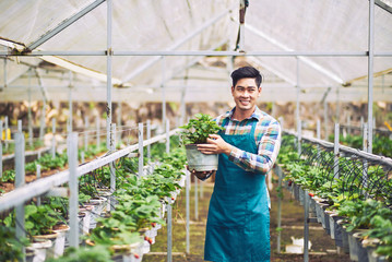 Young farmer