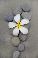 Fotobehang Close up frangipani in wooden bowl with spa stones –white background     © Mee Ting