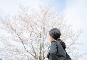 ビジネスウーマン, 桜