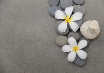 Fototapeta na wymiar spa theme objects with flower and Herb ball grey background.