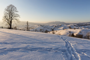 Winter in alpine meadows