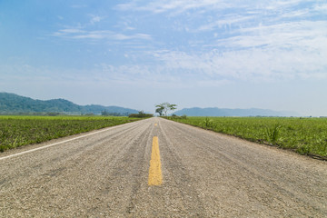 Camino a Casa