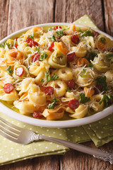 Traditional multi-colored tortellini with parmesan and sausages closeup. vertical