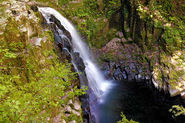 Fototapeta na wymiar Akame Falls in Mei Japan