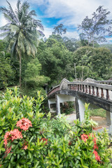 White bridge in tropical garden
