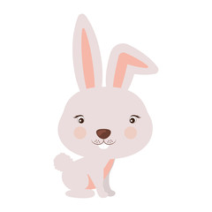 Little animal concept about cute rabbit design, vector illustration 