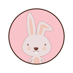Little animal concept about cute rabbit design, vector illustration 