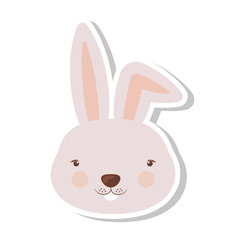 Little animal concept about cute rabbit design, vector illustration 