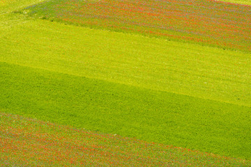 Castelluccio di Norcia