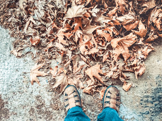 Mans Feet In Front Of Fall/Autumn Dry Leaves