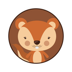 Little animal concept about cute squirrel design. vector illustration 