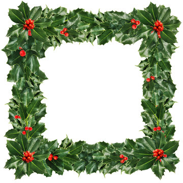 Christmas Frame of Green Holly Leaves  and Berries Isolated on W