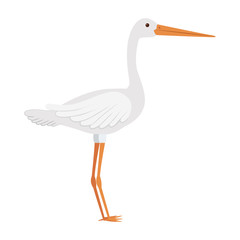 cartoon stork bird icon over white background. vector illustration