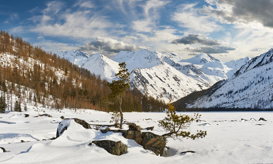 Beautiful winter landscape, Altai mountains,  Siberia, Russia.