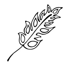 Vector hand drawn illustration, decorative ornamental stylized feather. Black and white graphic illustration isolated on the white background. Inc drawing silhouette.