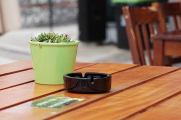 Coffee table with ashtray, vase and plant