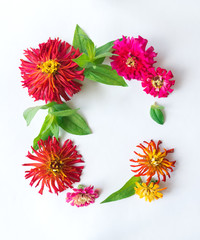 Square frame of colorful flowers zinnias