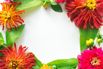 The square frame from leaves and flowers of different colors of