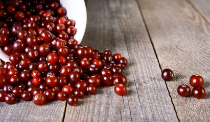 cranberries in bowl
