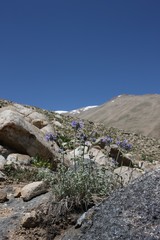 Pamir region Russian Federation Central Asia mountain landscapes