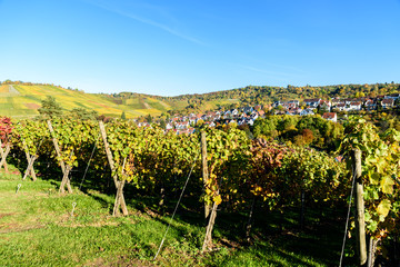 Fototapeta na wymiar Vineyards at Stuttgart, Uhlbach at the Neckar Valley - beautiful landscape in autum in Germany