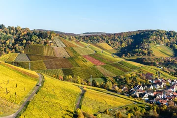 Fototapeten Vineyards at Stuttgart, Uhlbach at the Neckar Valley - beautiful landscape in autum in Germany © Simon Dannhauer