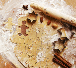 Gingerbread dough with molds for baking and cinnamon, selective focus