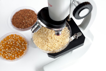 concept healthy food inspection in laboratory no one