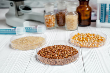 cereals in petri dish for analysis on wooden background