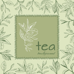 tea logo vector background with painted leaves tea