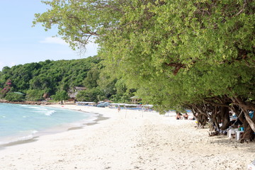 Beautiful tropical white sand beach
