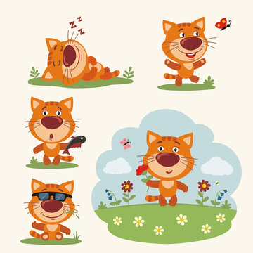 Vector set funny kitten cat in different poses on summer meadow with flowers. Collection little kitten cat in cartoon style.