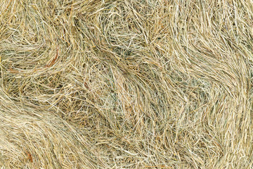 Hay cock texture close-up view
