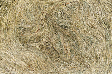 Hay cock texture close-up view
