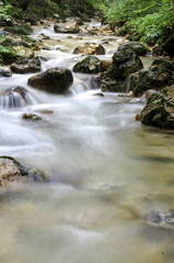Naklejka na ściany i meble Long exposition of a mountain stream during the rain in Trentino, Italy