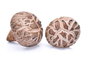 fresh shiitake mushrooms isolated on white