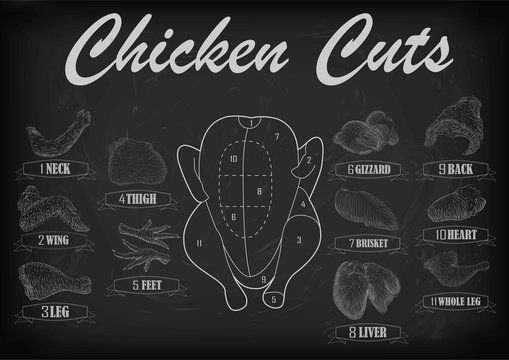 Chicken hen cutting meat, offal scheme parts carcass: brisket neck wing fillet back heart leg liver. Vector horizontal closeup side view illustration sign info graphics chalk isolated black background