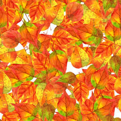 seamless pattern with rainbow autumn leaves