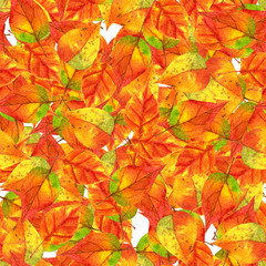 seamless pattern with rainbow autumn leaves