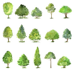 vector set of trees drawing by watercolor