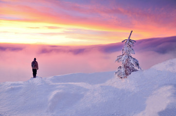 Man and beautiful scenery with christmas theme. Beautiful vivid sunrise with young man and beautiful winter tree.