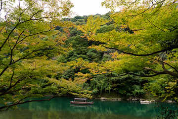 Fototapeta premium 秋の桂川 色づき始め紅葉