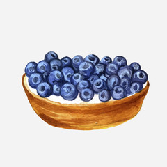 vector watercolor cake with blueberries