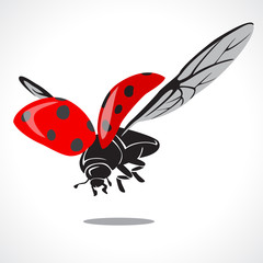 lady bug graphic