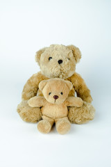 Two brown bear dolls. Bear family. White background.