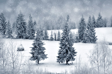 Fototapeta na wymiar Winter landscape with snowy trees and snowflakes